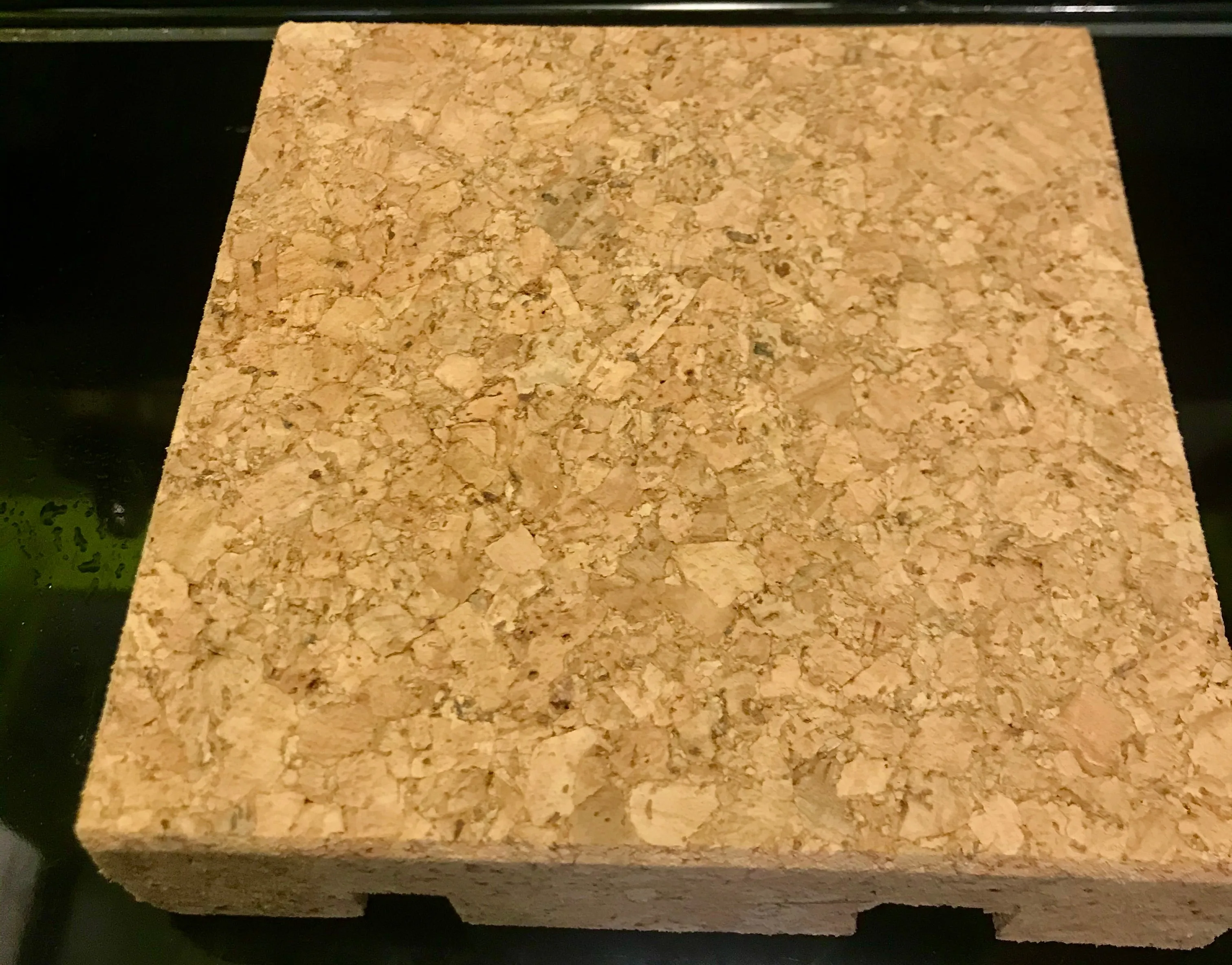 Cork Trivet/Mobile Base